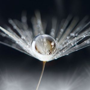 Primer tiska na platno